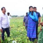 Boyinapalli Alternative Crops |