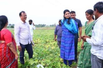 Boyinapalli Alternative Crops |