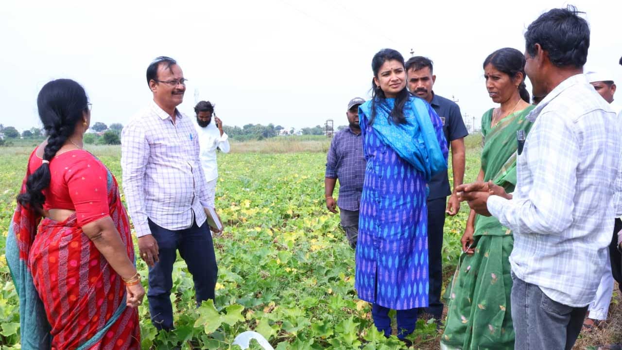 Boyinapalli Alternative Crops |