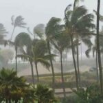 Arnab Cyclone