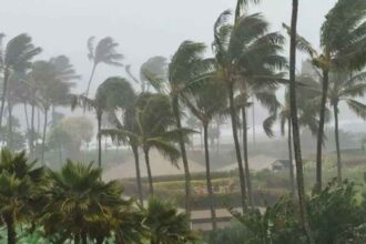 Arnab Cyclone