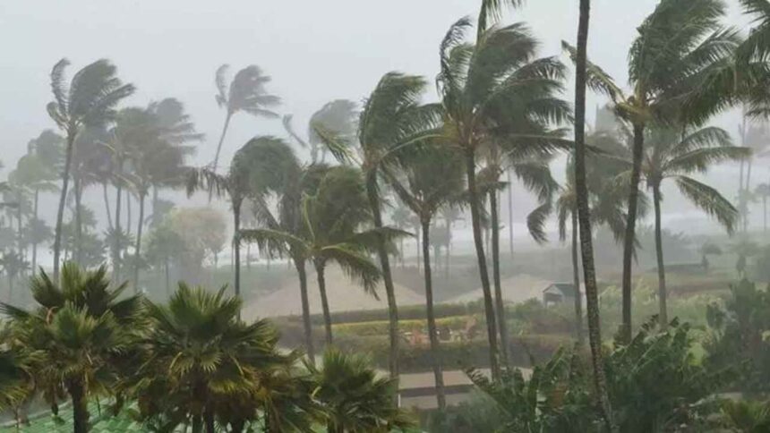 Arnab Cyclone
