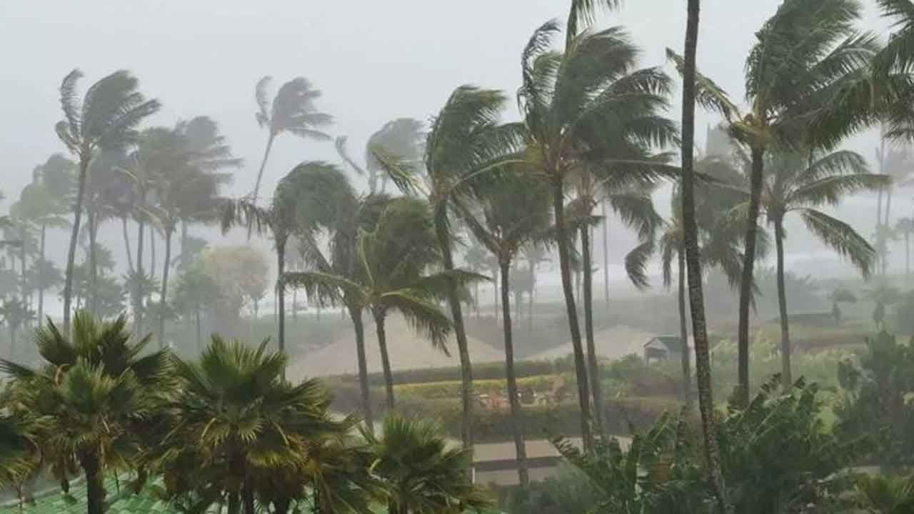 Arnab Cyclone