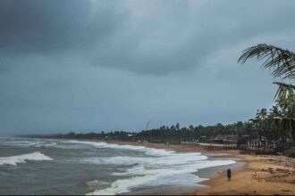 Arnab Cyclone