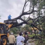 Arnab Cyclone