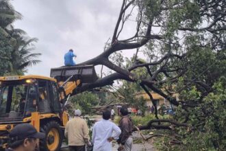 Arnab Cyclone