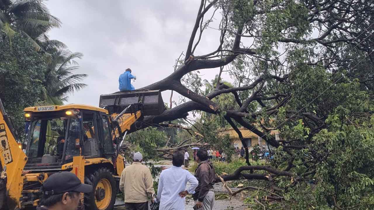 Arnab Cyclone