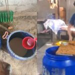 Food Safety Raids