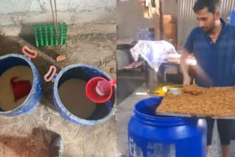 Food Safety Raids