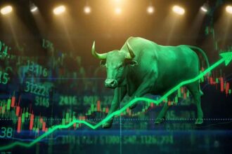 Indian Stock Market Rally