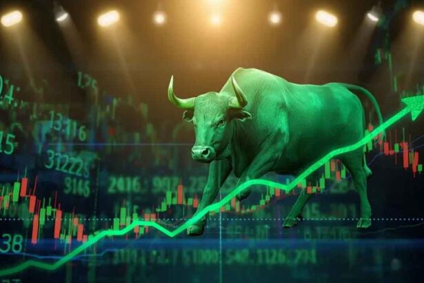 Indian Stock Market Rally
