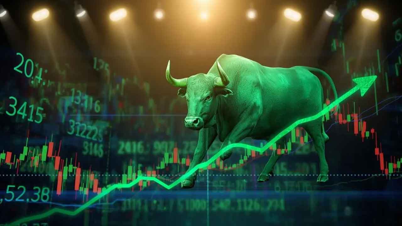 Indian Stock Market Rally