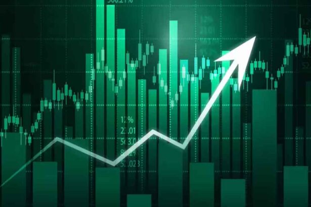 Indian Stock Market Rally