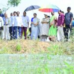 Integrated Organic Farming