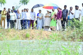 Integrated Organic Farming