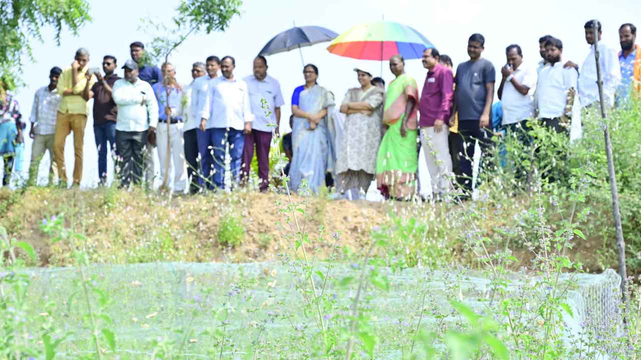 Integrated Organic Farming