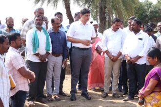 Kamareddy Tree Plantation