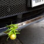 Lemon Chilli Vehicle Ritual