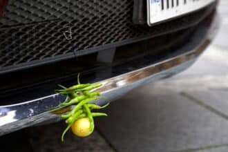 Lemon Chilli Vehicle Ritual