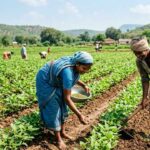 Nizamabad Crop Diversification