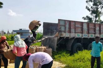 Paddy Grain Demand