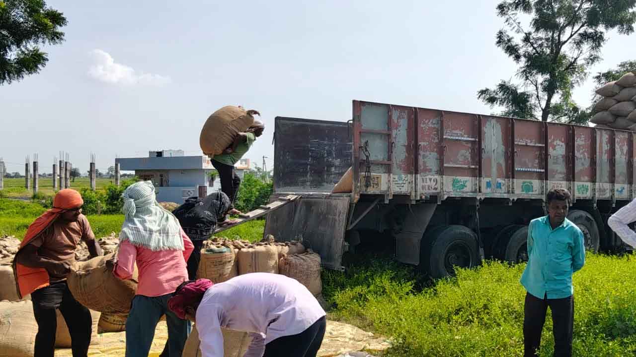 Paddy Grain Demand