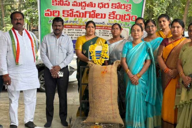 Paddy Procurement