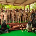 Red Sandalwood Smuggling