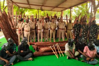 Red Sandalwood Smuggling