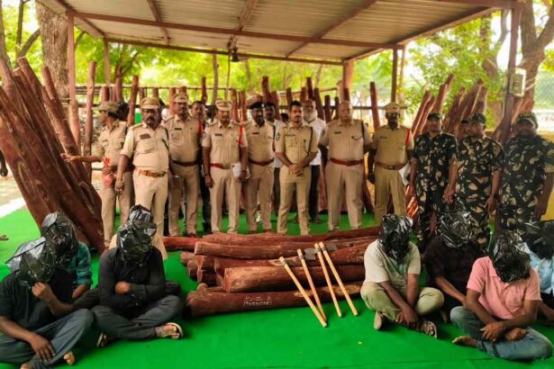Red Sandalwood Smuggling