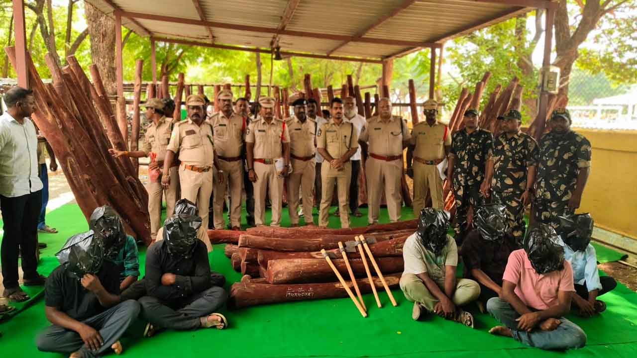 Red Sandalwood Smuggling