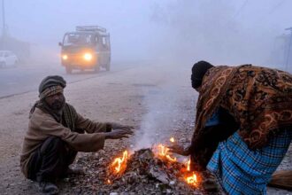 Telangana Cold Wave