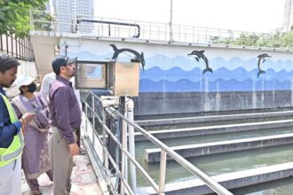 Treated Water Usage