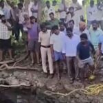 Vikarabad Mother Suicide