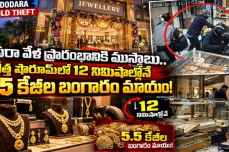 vadodara gold theft