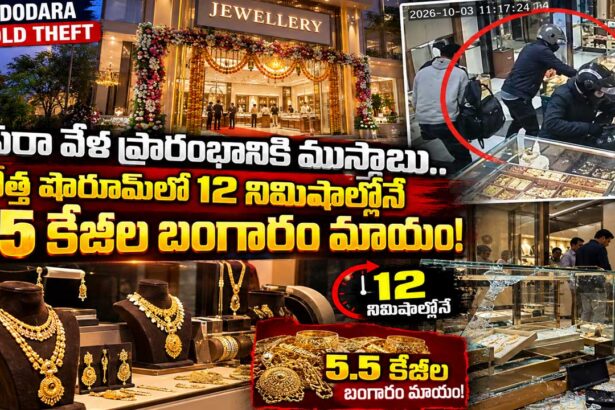 vadodara gold theft