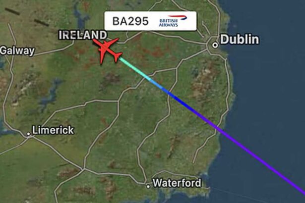 British Airways BA295