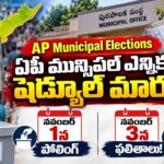AP Municipal Elections