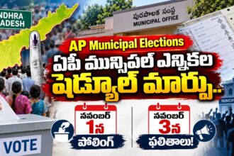 AP Municipal Elections