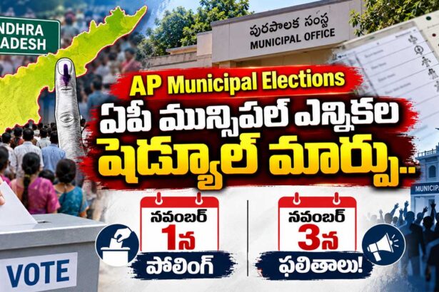 AP Municipal Elections