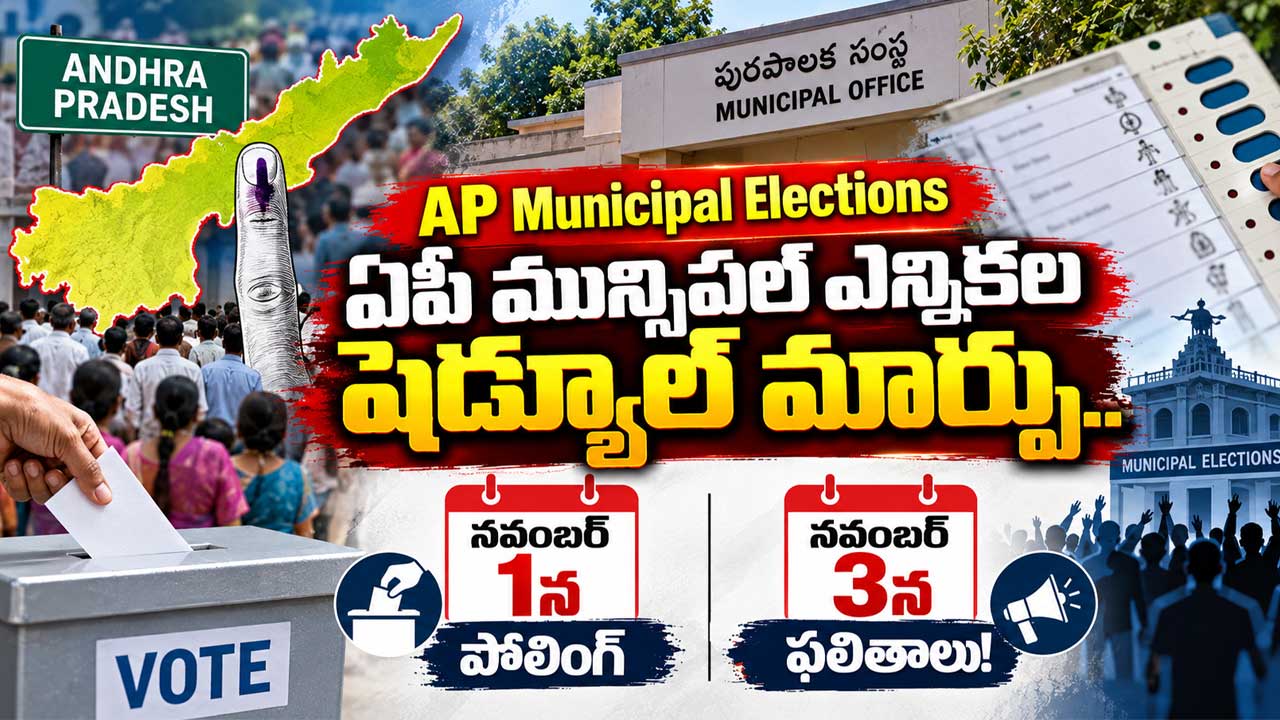 AP Municipal Elections