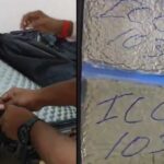 Hydroponic Cannabis Seizure