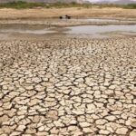 Drought Mandals