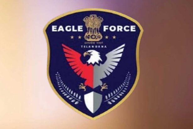 Eagle Force Raid