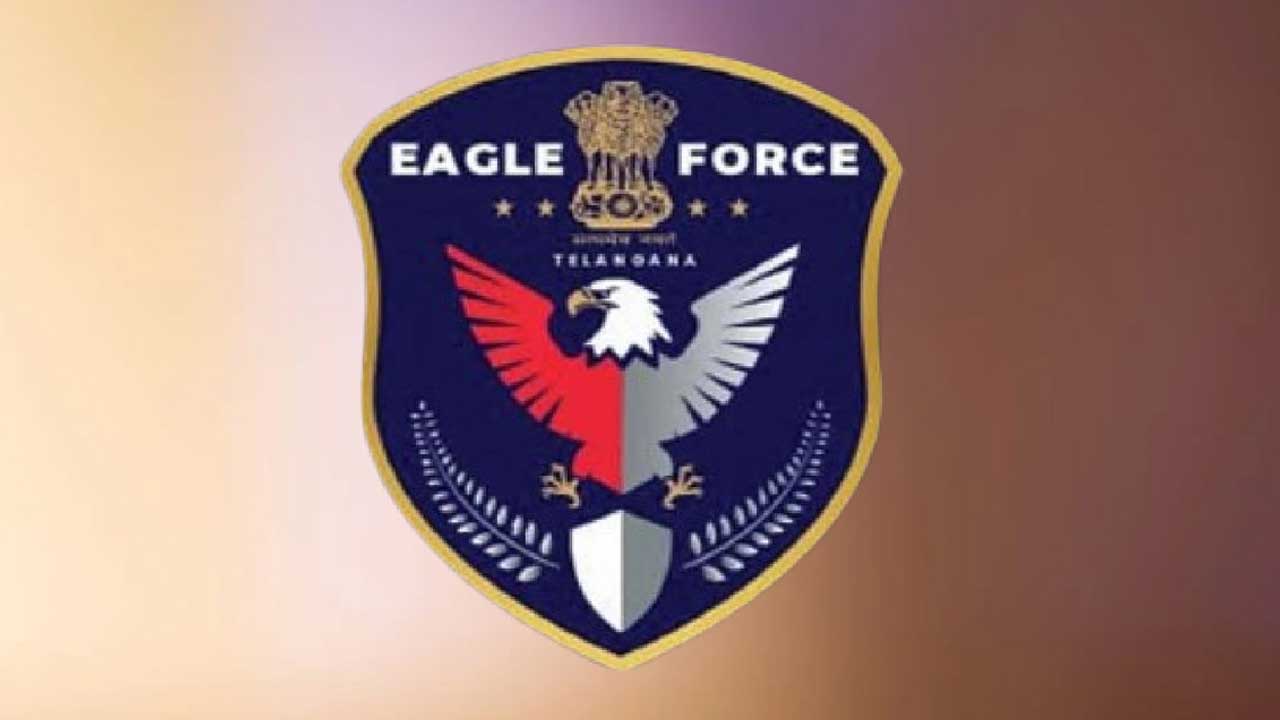 Eagle Force Raid