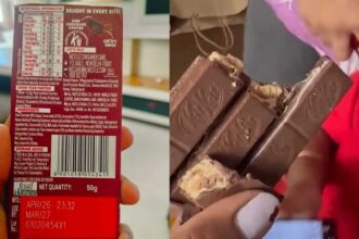 Worms in KitKat Chocolate