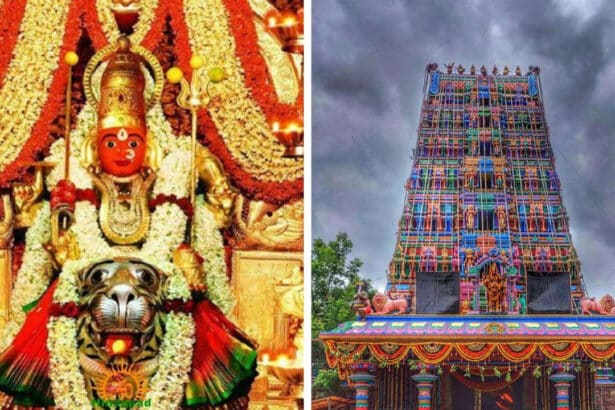 Peddamma Thalli Navaratri
