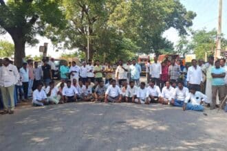 Rajanna Sircilla Paddy Prices |