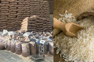 Rice Millers Scam