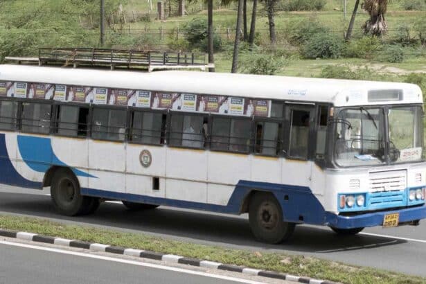 Free Bus Travel